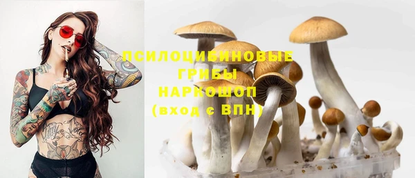 мескалин Арсеньев