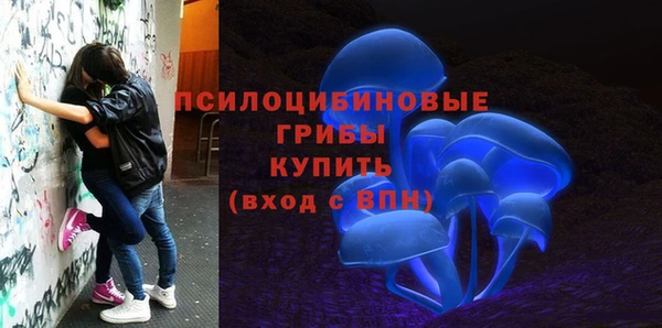 ALPHA-PVP Аркадак
