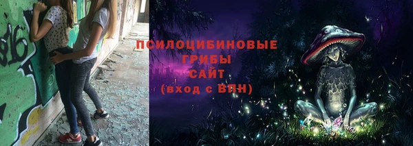 мескалин Арсеньев