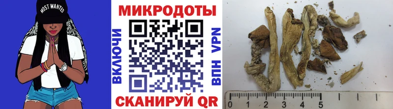 Купить  Суджа  Псилоцибиновые грибы MAGIC MUSHROOMS 