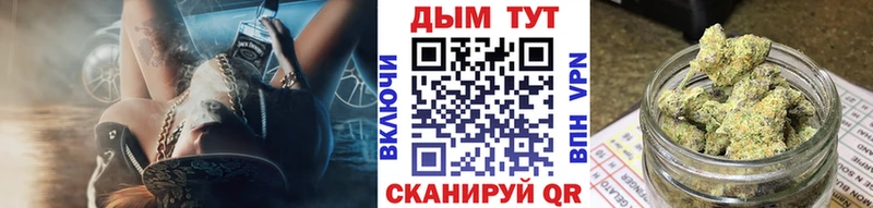 Купить где  Суджа  Бошки марихуана конопля 